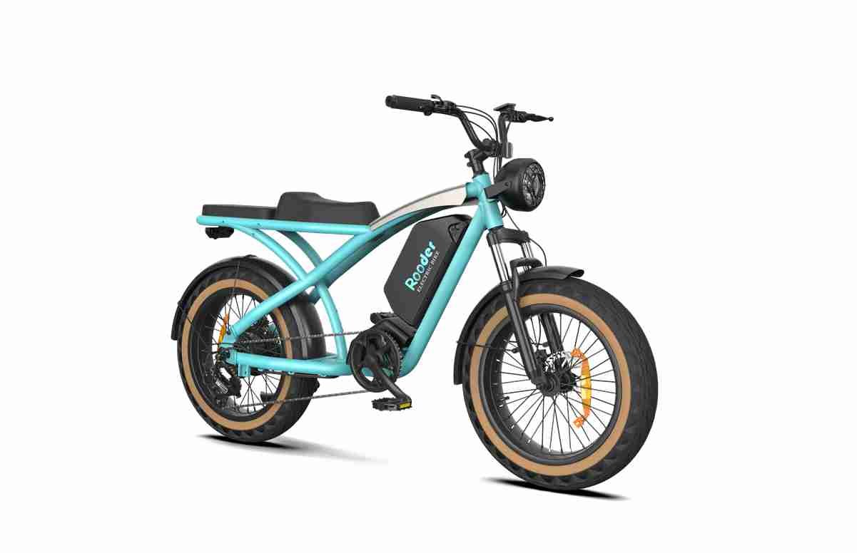 20 Folding Electric Bike dealers