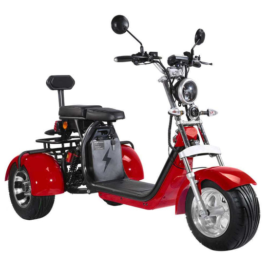 EU Road Legal Electric Trike 3 Wheel E Scooter 45KM/H COC for Sale