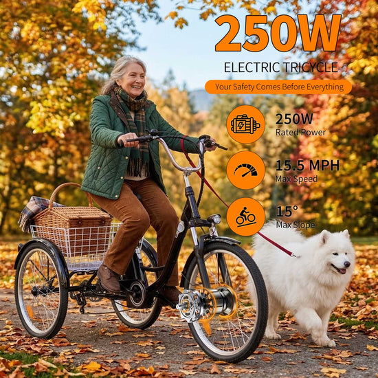 Electric Cargo Tricycle | 3-Wheel City Ebike for Adults & Delivery