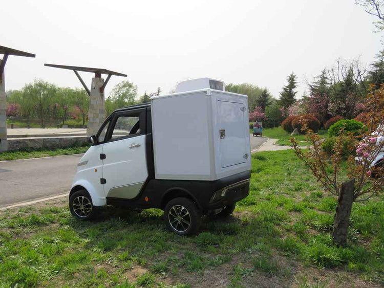 electric cars available in europe factory price