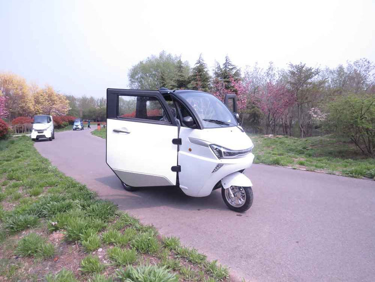 vehicle electrique factory price