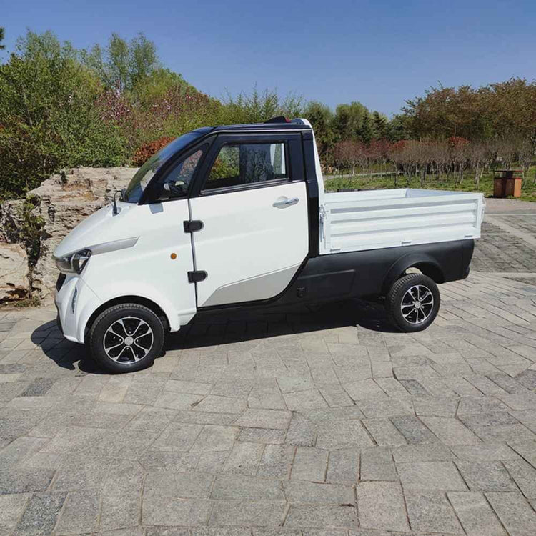 ev in china factory price