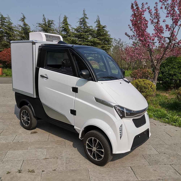 electric vehicles around the world factory price
