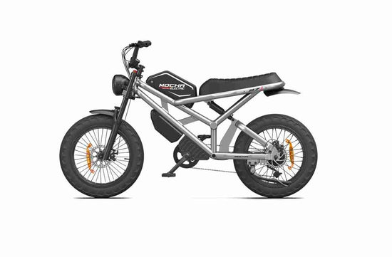 1500 watt electric bike dealers