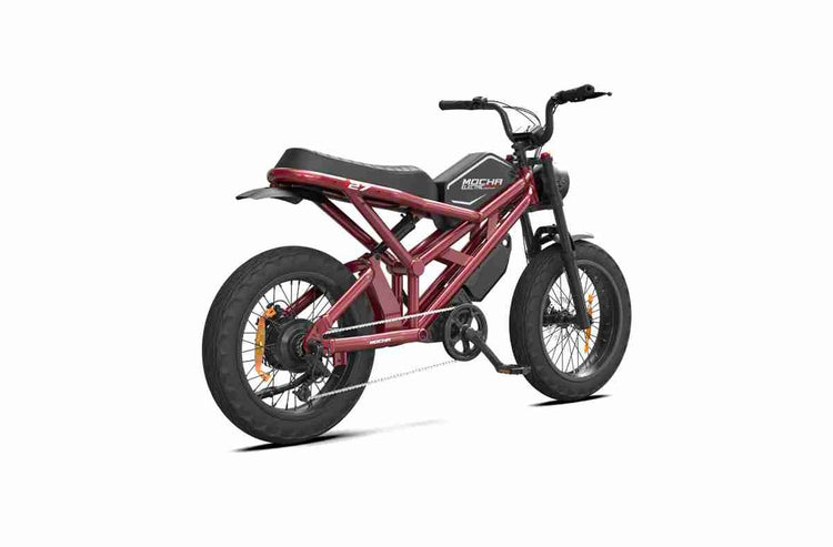 1500w electric bike dealers