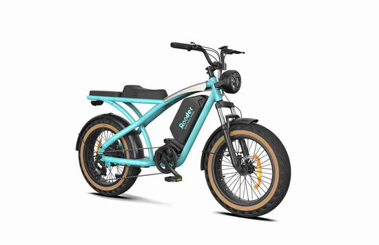 20 Folding Electric Bike dealers