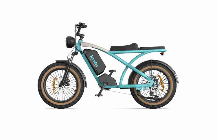 20 In Ebike dealers