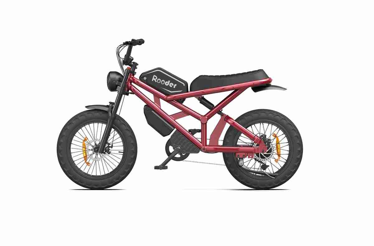 2000 watt electric bike dealers