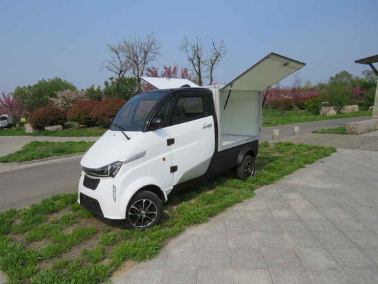 best electric vehicles today factory price