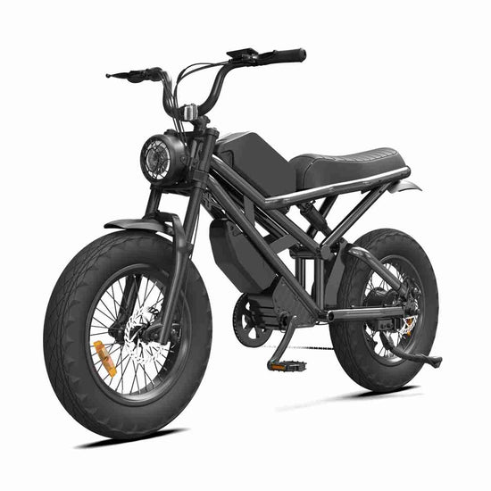 24 Inch Fat Tire Electric Bike dealers