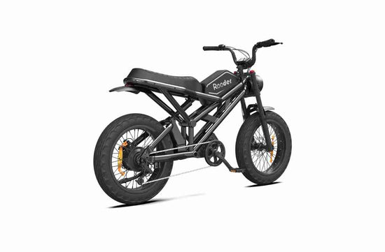 250w Folding Electric Bike dealers