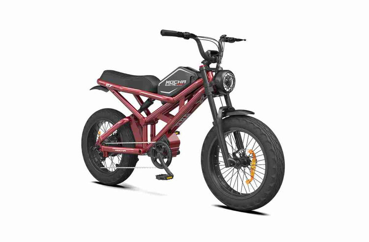 26 inch electric bike dealers