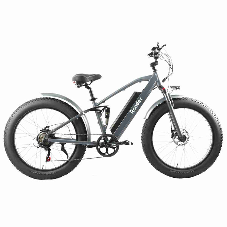 3 wheel e bike dealers