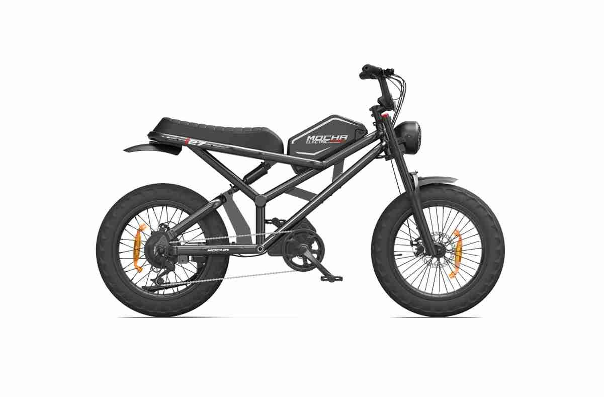 3 wheel electric bike for 2 adults dealers