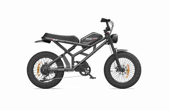 3 wheel electric bike for 2 adults dealers