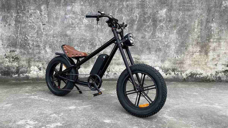 3 wheel electric bike for adults dealers