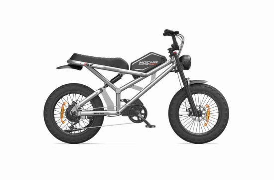 3000w ebike dealers