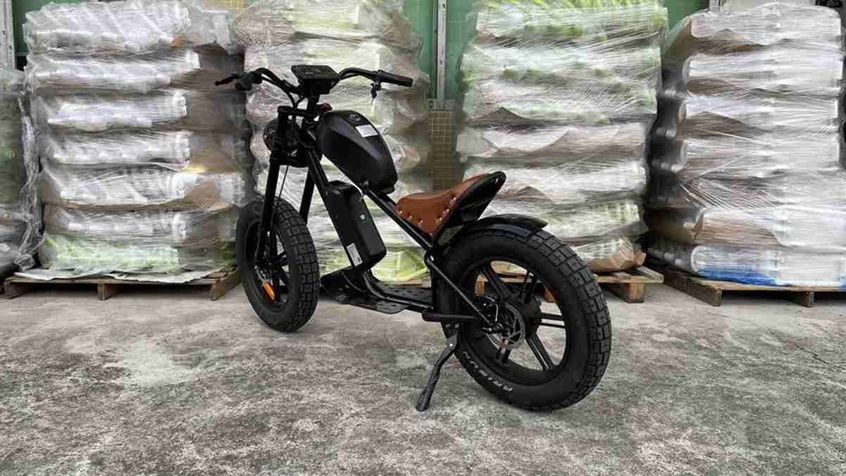 48v electric bike dealers