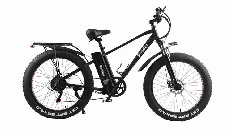 Adult Electric Folding Bike dealers