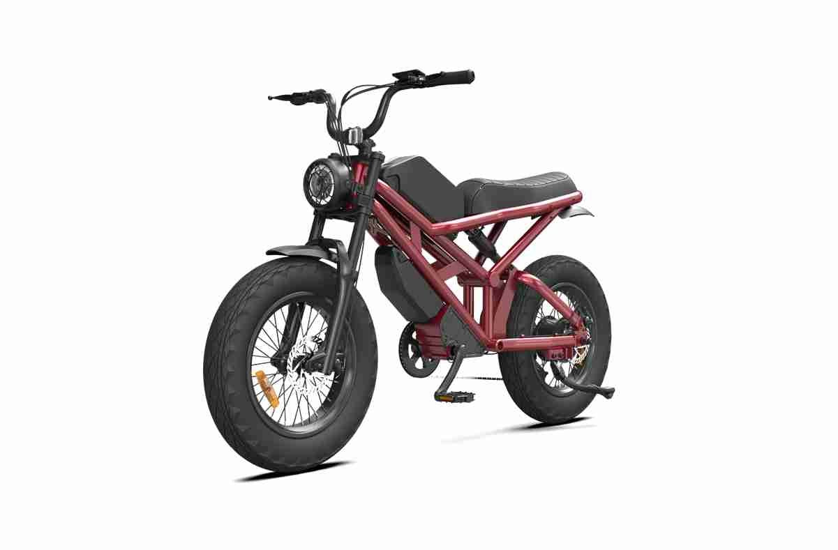 Adult Fat Tire Electric Bike dealers