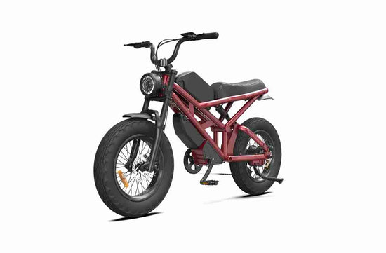 Adult Fat Tire Electric Bike dealers