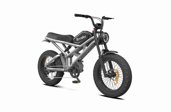 Best Big Tire Electric Bike dealers