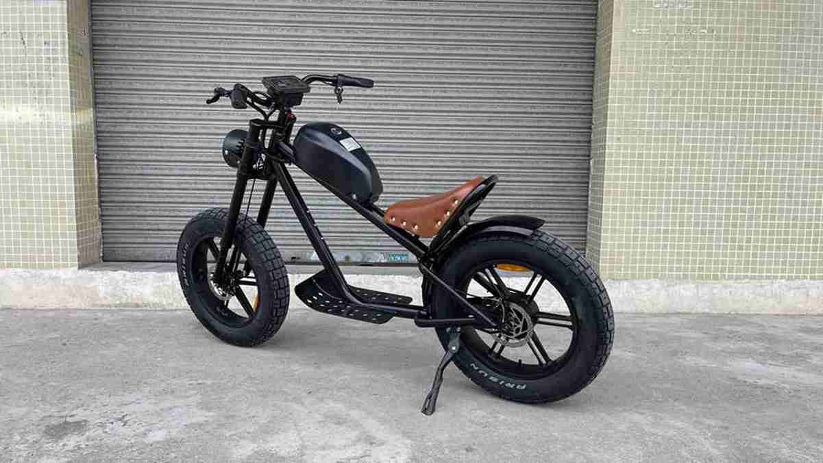 Best Budget Folding Electric Bike dealers