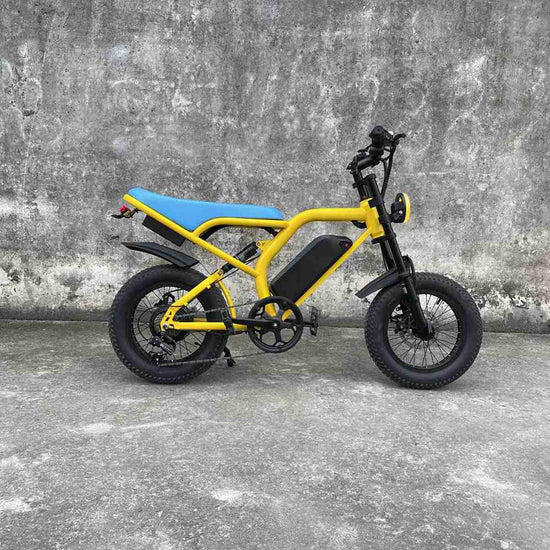 Best Electric Bike For Sand dealers