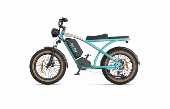 Best Electric Bike With Fat Tires dealers