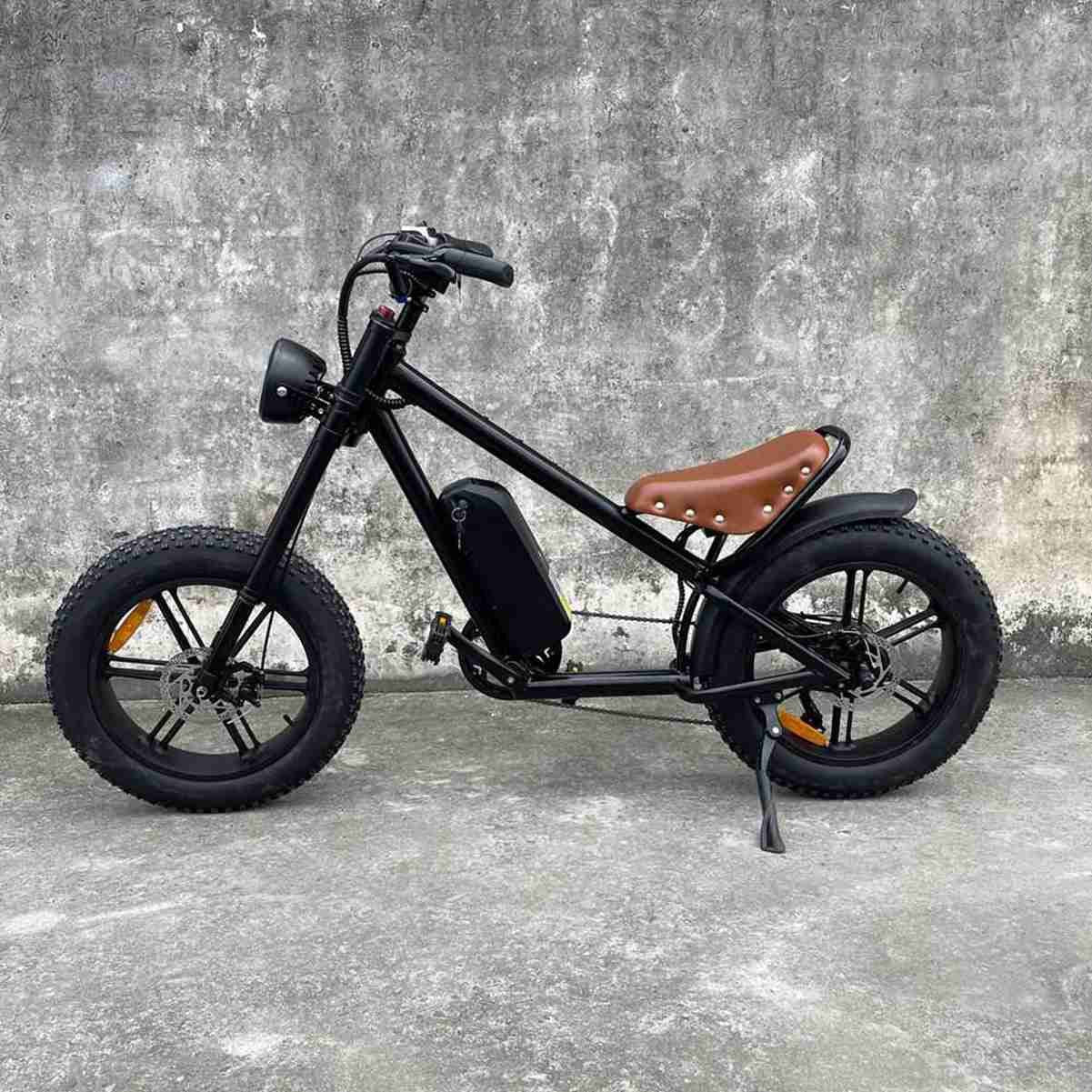 Best Foldable Electric Bicycle dealers