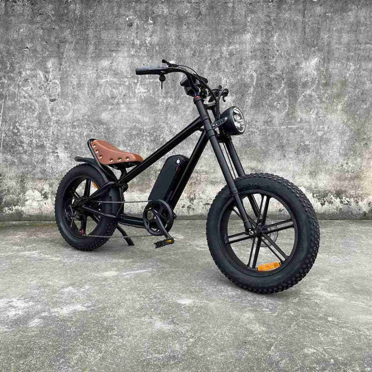 Best Price Folding Electric Bikes dealers