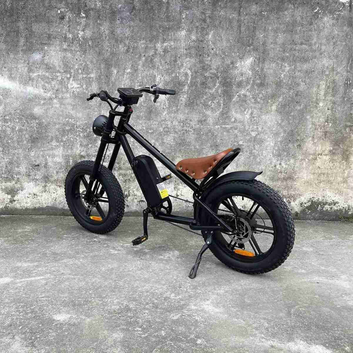 Big Tyre Electric Bike dealers