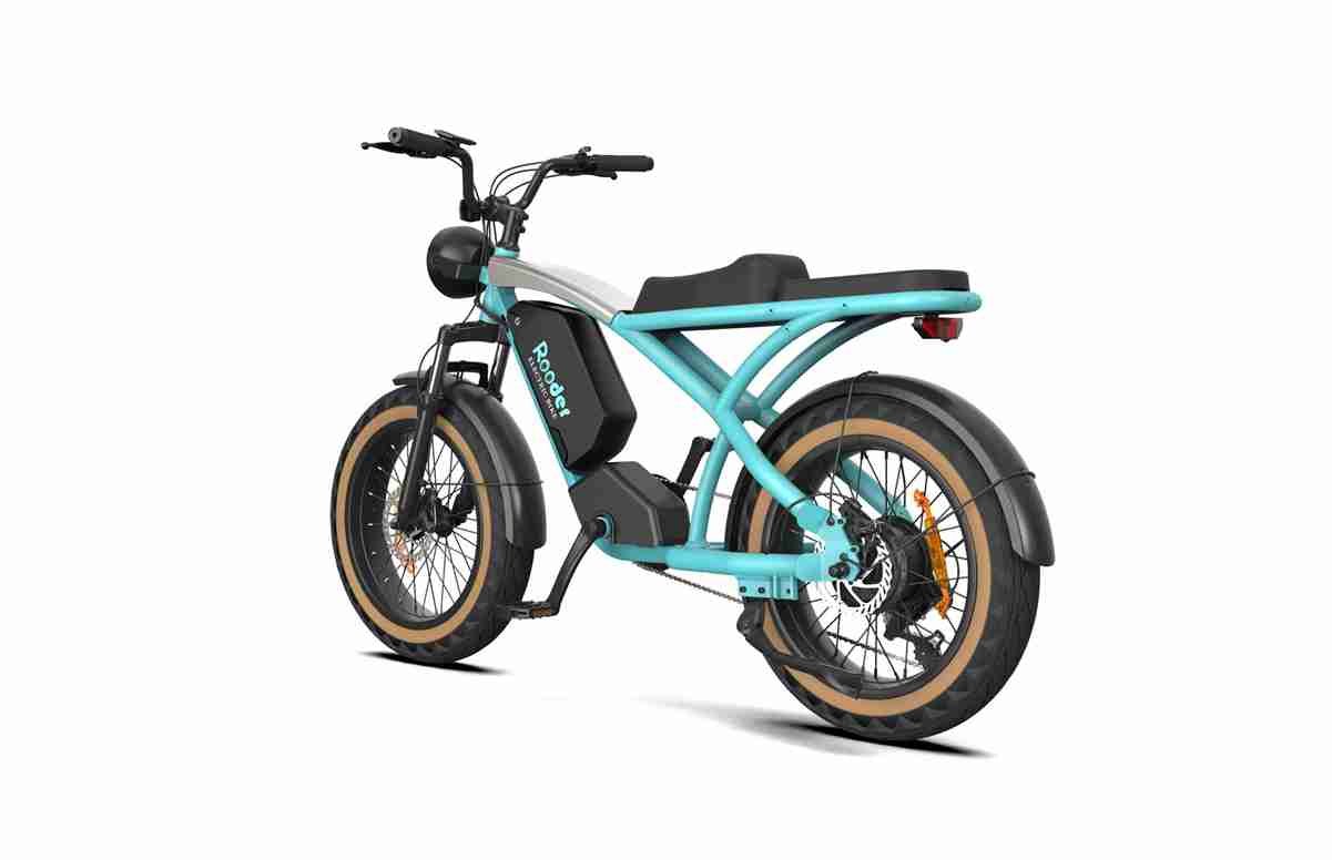 Bike Electric Folding dealers