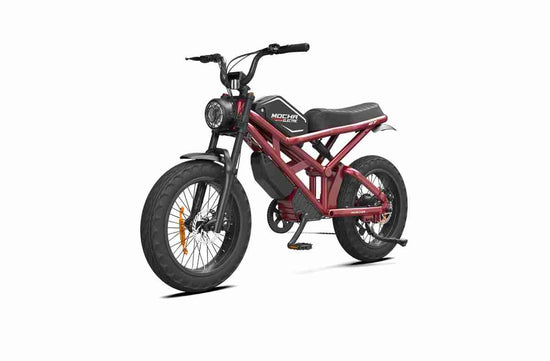 Budget Electric Bike dealers