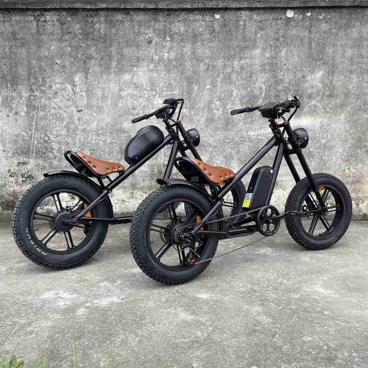 Chinese Electric Bikes Prices dealers