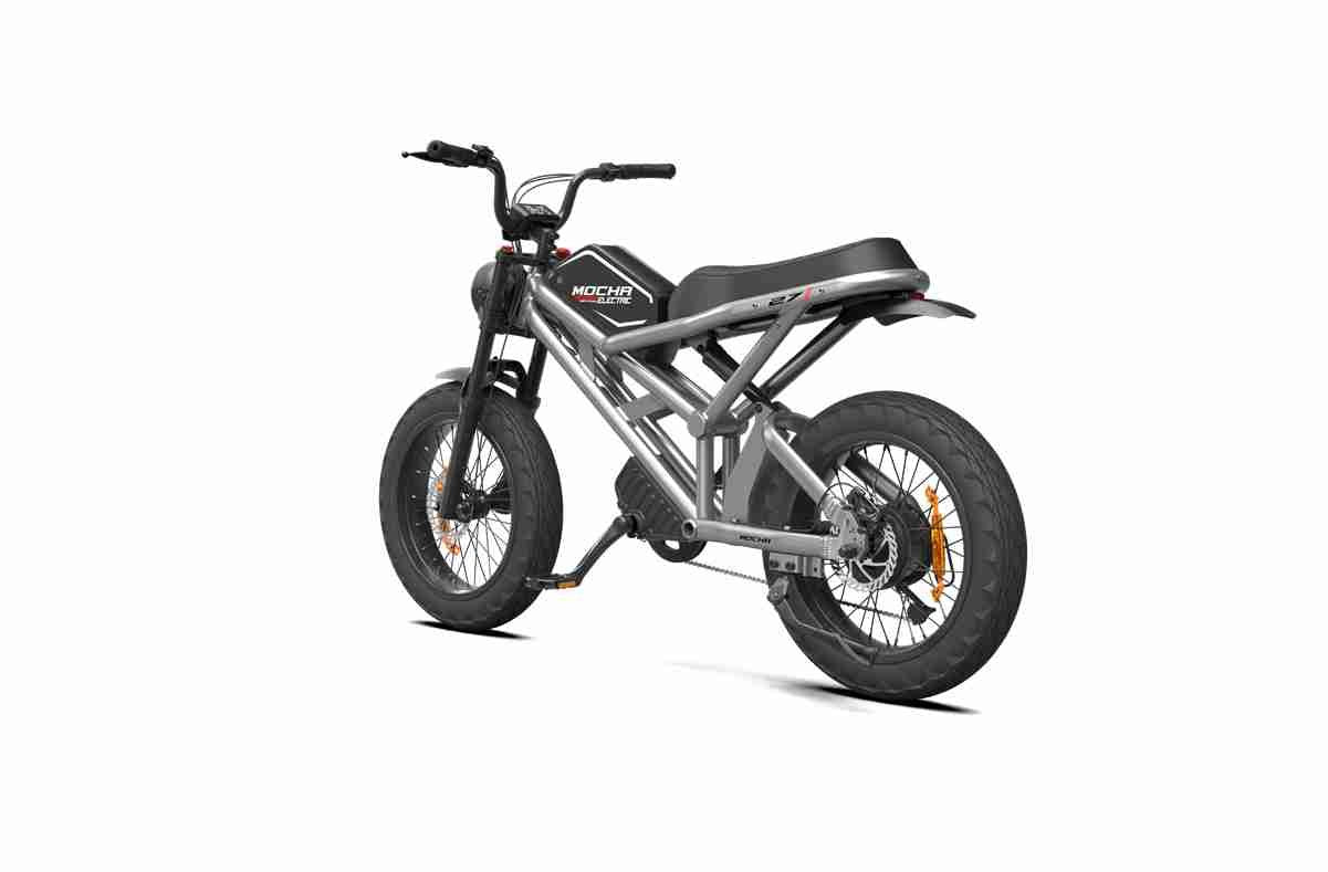 Chinese Folding Electric Bike dealers