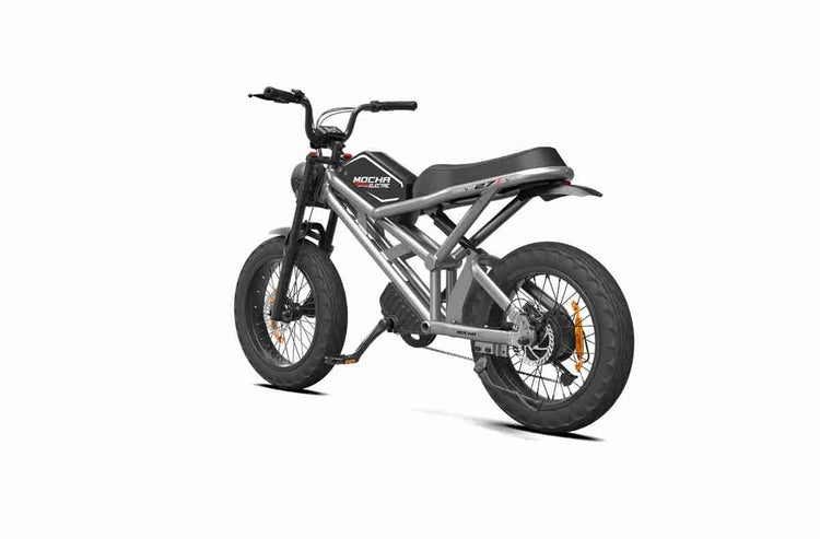 Chinese Folding Electric Bike dealers