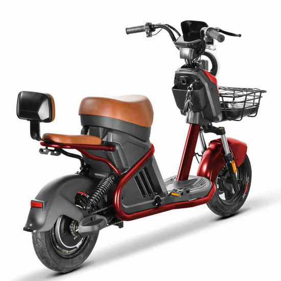 Citycoco Trike 3000w dealers