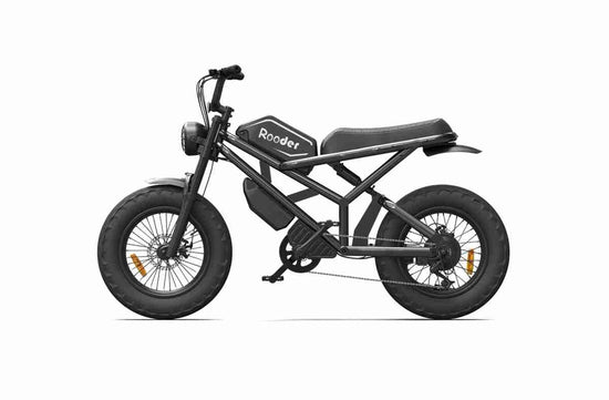 Custom Electric Bike dealers