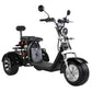 EU Road Legal Electric Trike 3 Wheel E Scooter 45KM/H COC for Sale