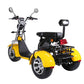 EU Road Legal Electric Trike 3 Wheel E Scooter 45KM/H COC for Sale
