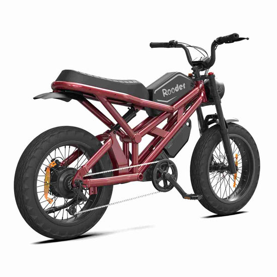 Ebicycle Electric Bike dealers