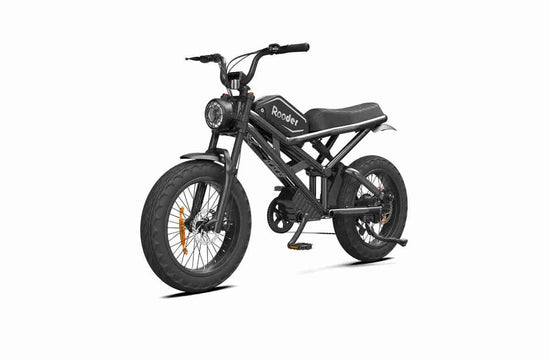 Ebike Fat Bike dealers