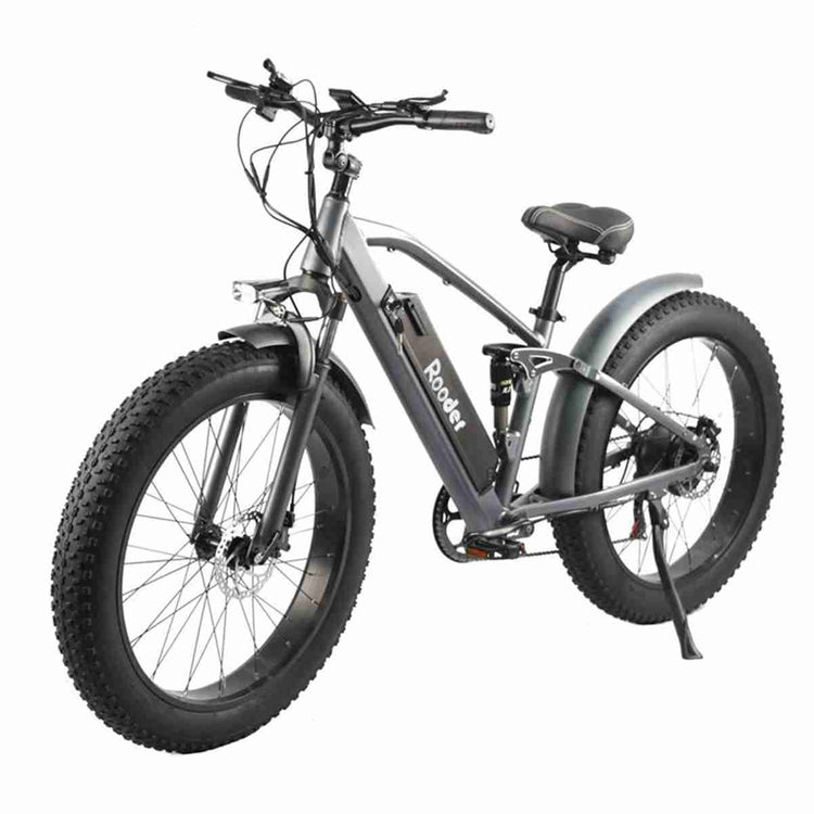 Ebike Scooter dealers