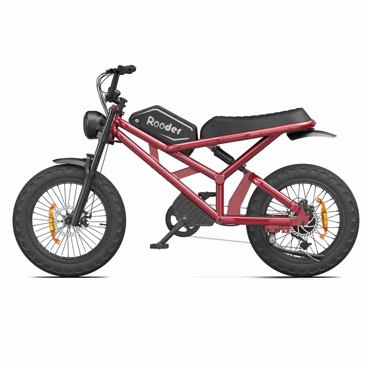 Eco Folding Electric Bike dealers