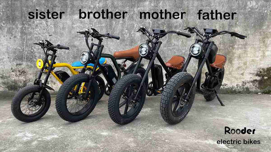 Electric Bike 250w dealers