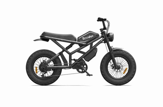 Electric Bike Bicycle dealers