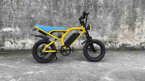 Electric Bike Fat Tire dealers