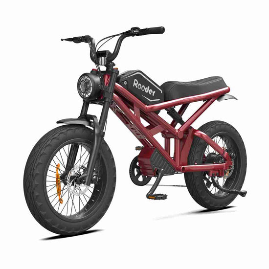 Electric Bike Folding Bike dealers