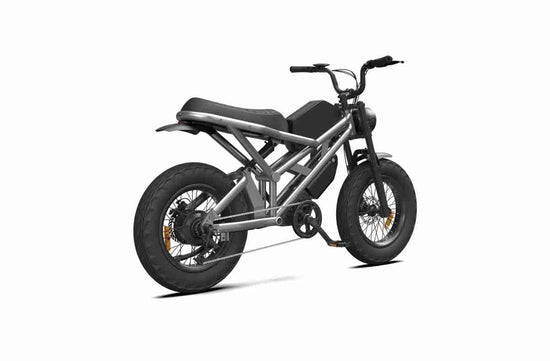 Electric Bike Long Range dealers